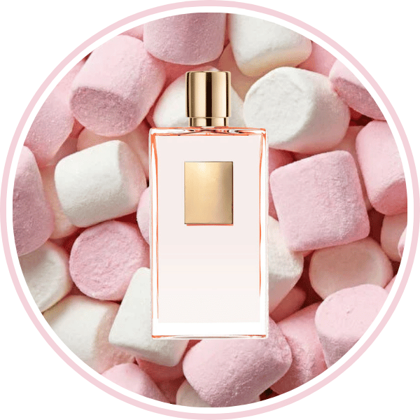 NEW - LOVE SHY